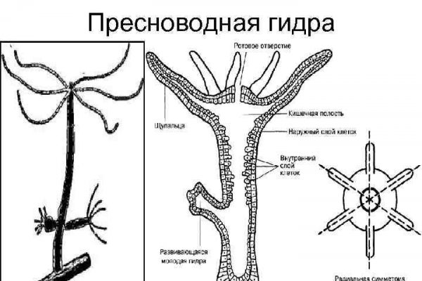 Официальный сайт омг тор